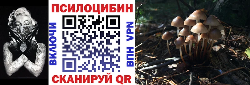 Псилоцибиновые грибы мухоморы Ардатов